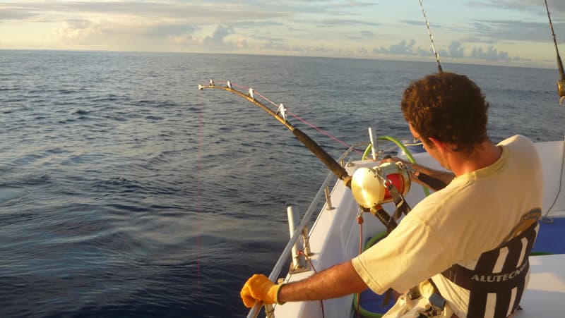 Big game fishing in Reunion island