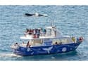 https://www.allonslareunion.com/en/reunion-leisures/at-sea/boat-trips/grand-bleu/index.html
