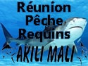 https://www.allonslareunion.com/en/reunion-leisures/at-sea/big-game-fishing/reunion-peche-requins-peche-au-gros/index.html