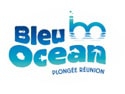 https://www.allonslareunion.com/en/reunion-leisures/at-sea/scuba-diving/bleu-ocean/index.html
