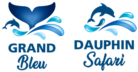 Logos Grand Bleu et Dauphins Safari