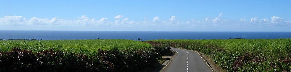 Vehicle hire Reunion Island