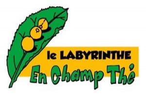 The Labyrinthe En Champ Thé